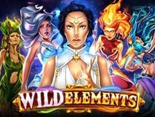Wild Elements screenshot